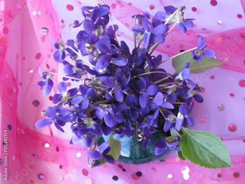 Bouquet of wood violets against pink background