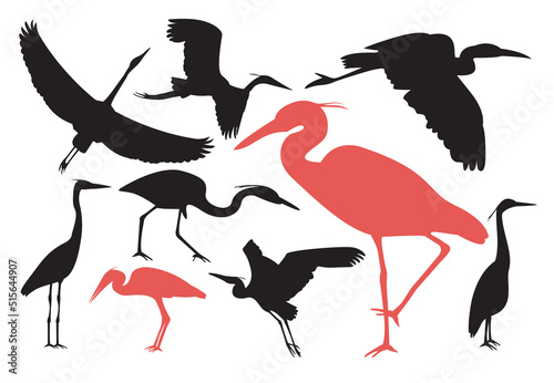 Group of Heron silhouette set. Vector illustration