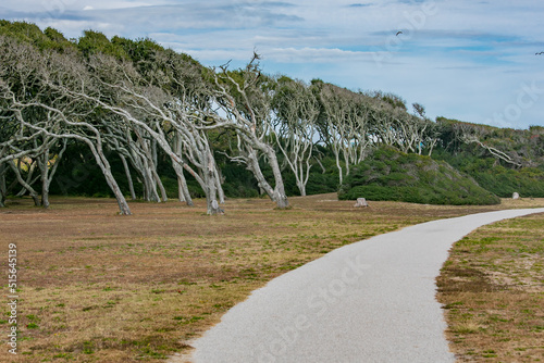 Looking to the Future