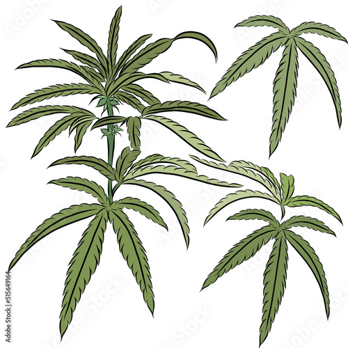 Marijuana leaves on white background,hand drawn,creative with illustration in flat design,decorative series for wallpaper.