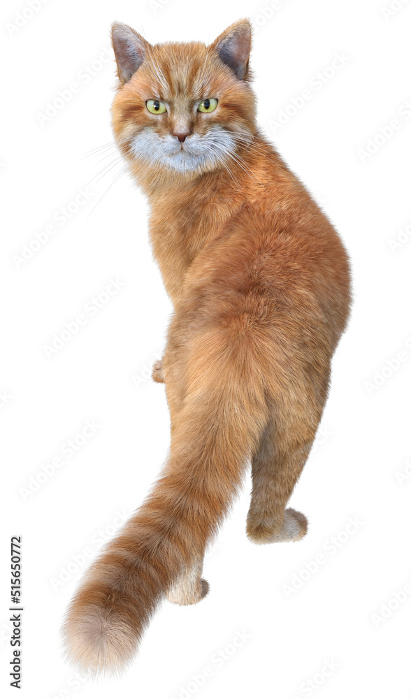 Ginger cat looking back while walking away. 3d rendering isolated on