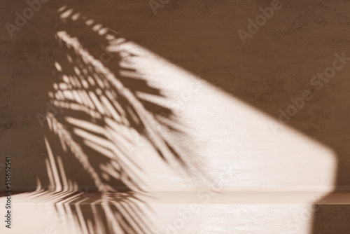 Minimal product placement background with palm shadow on concrete wall. Luxury summer architecture interior aesthetic. Modern tropical mockup design.
