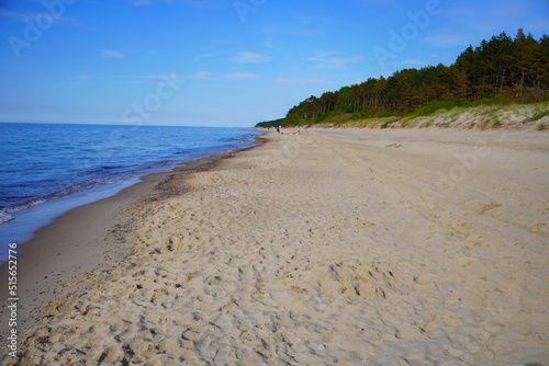 Beautiful view of a sandy beach with forest in the background in Pobierowo, Poland photo