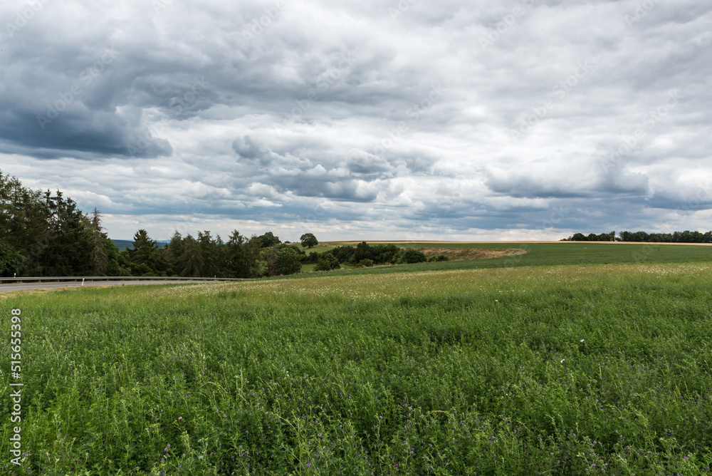View over the agriculture fields and meadows at the German Countryside View over the agriculture fields and meadows at the German Countryside