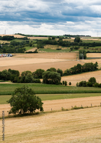 View over the agriculture fields and meadows at the German Countryside © Werner