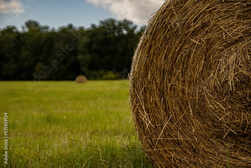 Fotografia, Obraz Closeup of a haystack in a green field surrounded with trees