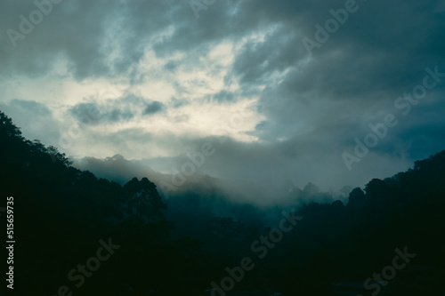 Dark fog descending on a tropical forest as a thunderstorm rolls in