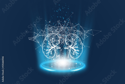 Kidney hologram, verifies the test results on the virtual interface, and analyzes the data. Kidney disease, kidney stones, cutting-edge technologies, and future medicine photo