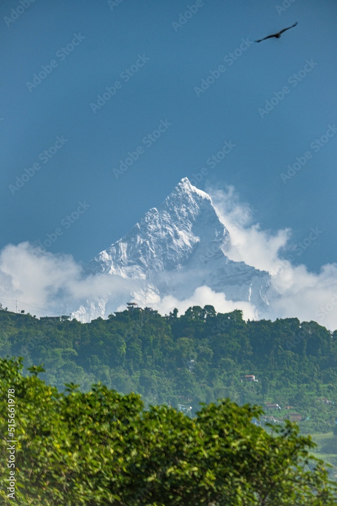 View of Machhapuchhare also kno Fishtail mountain from Pokhara, Nepal - obrazy, fototapety, plakaty 