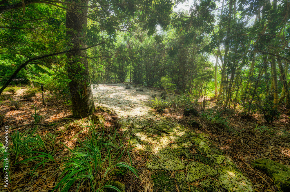 Obraz premium Zen Garden
