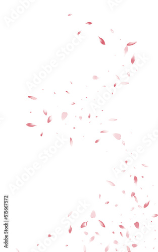 Beautiful Blossom Summer Vector White Background.