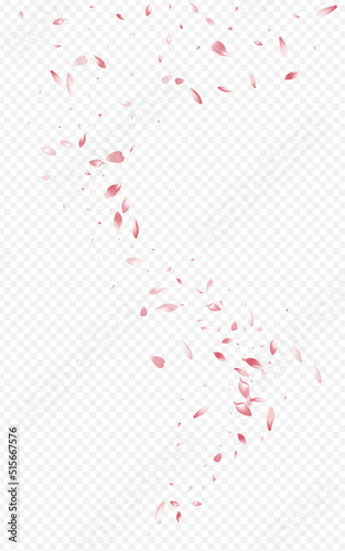 Delicate Petal Blur Vector Transparent