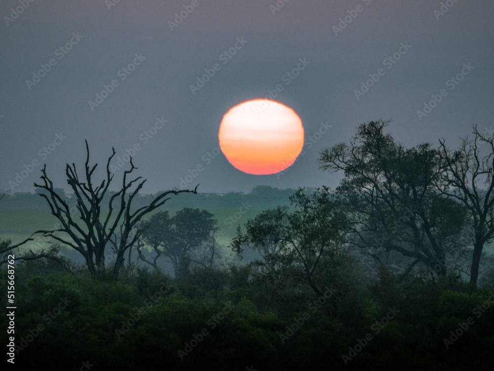 Orange Sunrise in Kruger Park, South Africa Orange Sunrise in Kruger Park, South Africa