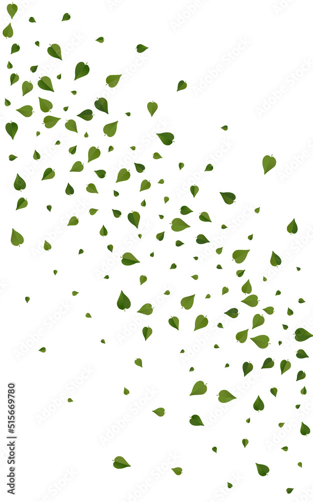 Lime Leaves Swirl Vector White Background Branch.