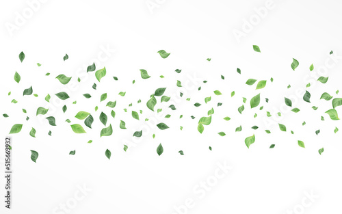 Green Greenery Spring Vector White Background