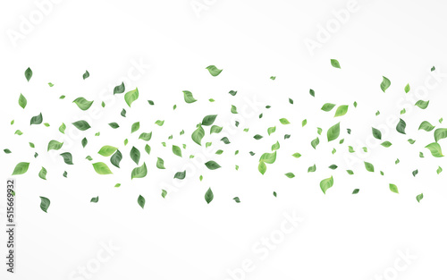 Green Greenery Spring Vector White Background © Natallia