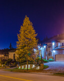 Luxury house with big tree and nice landscape at night in Vancouver, Canada, North America. Night time on May 2022