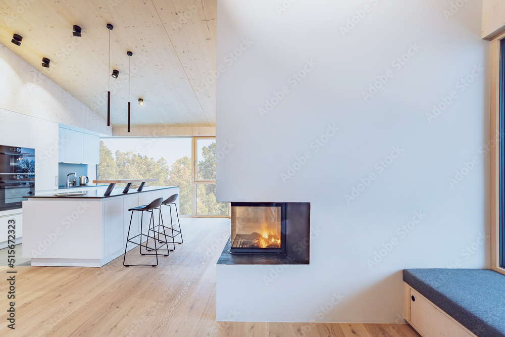 Fototapeta premium Interior of a modern arpatment with kitchen and fire place