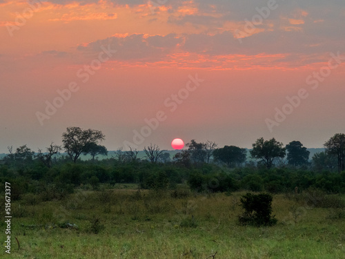 Sunrise over Kruger National Park