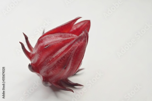 A freshly harvested dark red calyx of a Roselle plant, on white background photo