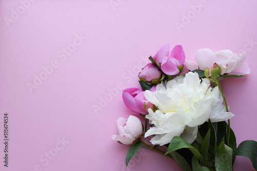 Pink peony flowers on a pink background. Top view. Concept Mother s Day  Family Day  Valentine s Day.