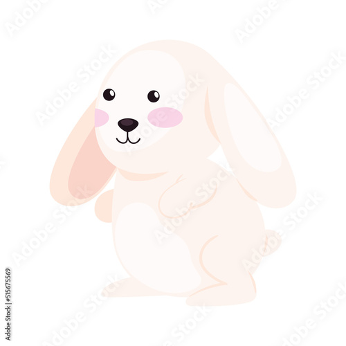 cute rabbit animal