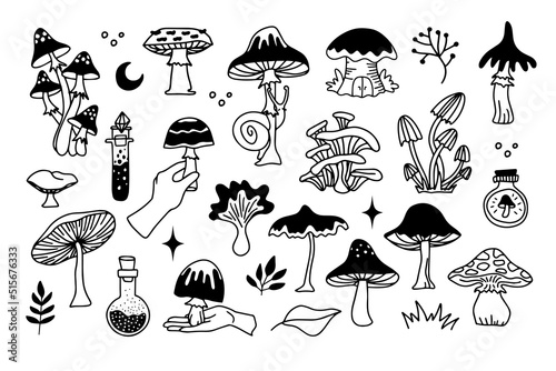 Mystical mushrooms isolated outline clipart set, magic line celestial mushroom, moon stars, witchy esoteric objects, floral mystical