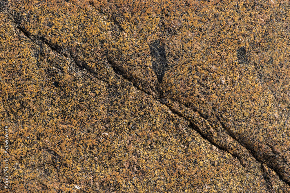 Texture of natural stone. Background