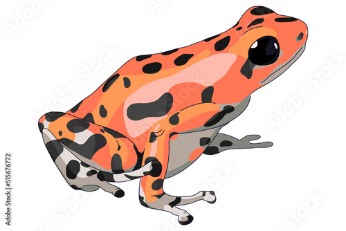 Poison toad illustration. Red frog art photo
