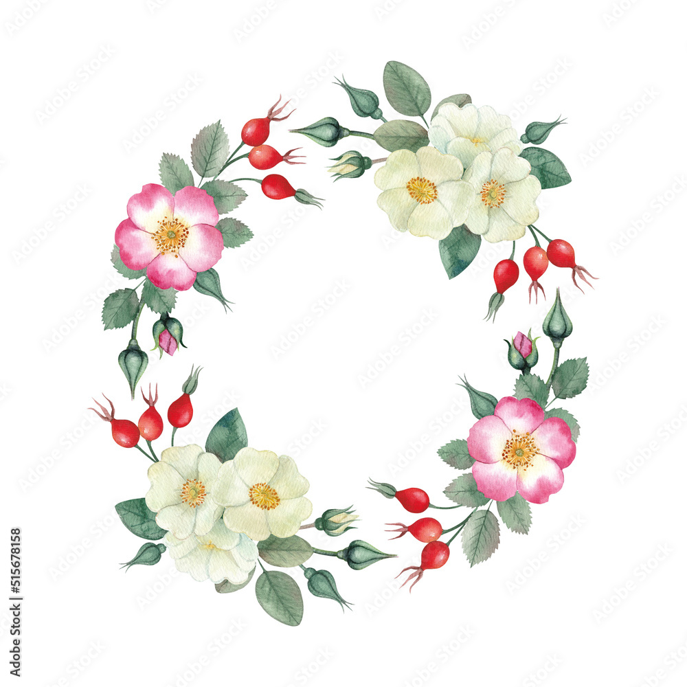 A wreath of pink and white rosehip flowers and red berries. Watercolor.
