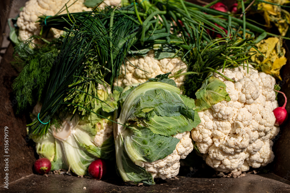 Obraz premium zepsute warzywa, nieświeże warzywa, bio śmieci, spoiled vegetables, stale vegetables, bio garbage,