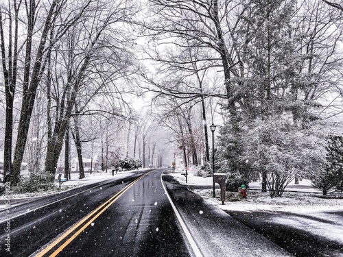 Empty road passing through trees covered in snow in Dover, Delaware, United States