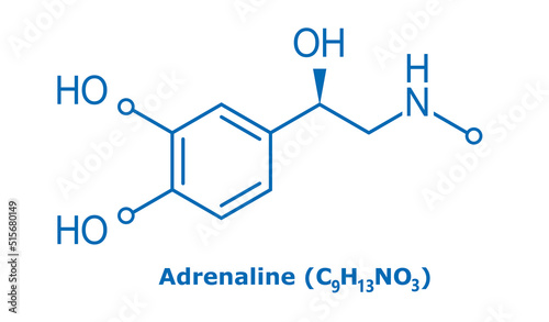 Molecule of adrenaline, vector chemical formula