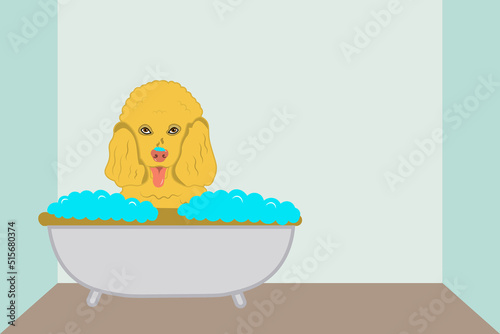The character cute poodle dog taking a bath with bathtub and bubbles