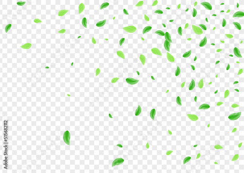 Green Greenery Background Transparent Vector. Leaf Sprout Card. Nature Frame. Light Green Realistic Texture. Vegetation Flavor.