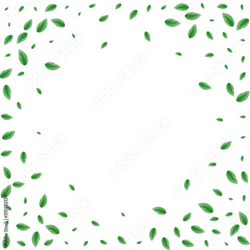 Greenish Leaf Background White Vector. Foliage Woods Texture. Abstract Design. Green Park Frame. Vegetation Ecology.