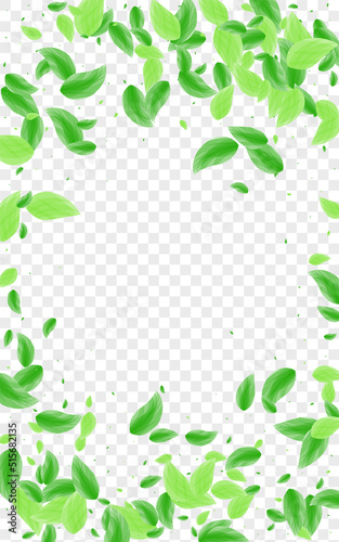 Greenish Foliage Background Transparent Vector. Sheet Life Card. Flavor Design. Light Green Motion Texture. Leaf Line.