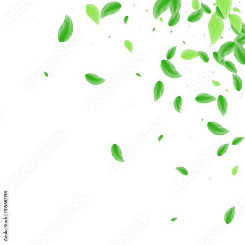 Greenish Greenery Background White Vector. Vegetation Clean Card. Silhouette Texture. Green Process Frame. Sheet Cosmetic.