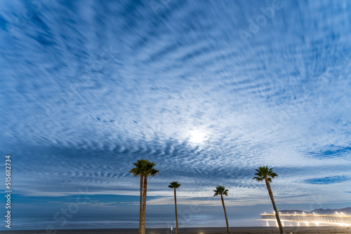 Cloudy Night sky with palm trees