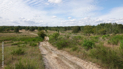 Döberitzer Heide