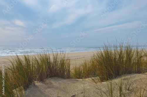 Sand dunes on the coast of Cap-Ferret sea beach The Atlantic Ocean in Western France. Dune du Pilat in the background.