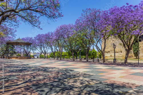 Purple blossom trees at the Alcazar in Jerez de la Frontera, Spain photo