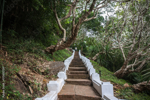 Obraz na płótnie Stairs to Mount Phou Si Hill, Luang Prabang Province, Laos w salonie