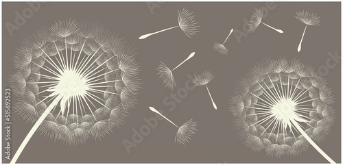 Vector illustration of dandelions on a dark background background.
Silhouette with flying dandelion buds. EPS10 for wall decor,  wallpaper,  postcards, posters etc. Wall art for decor. 
