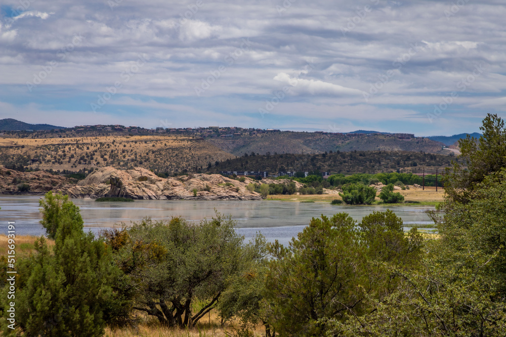 Prescott Arizona lake in the distance with desert trees in the foreground