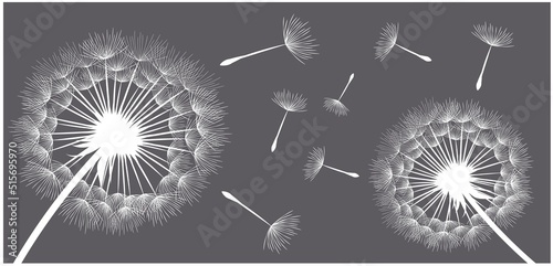 Vector illustration of dandelions on a dark background background.
Silhouette with flying dandelion buds. EPS10 for wall decor,  wallpaper,  postcards, posters etc. Wall art for decor. 