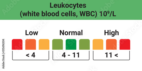 The level of leukocytes in human blood. Applicable low, normal and high values.