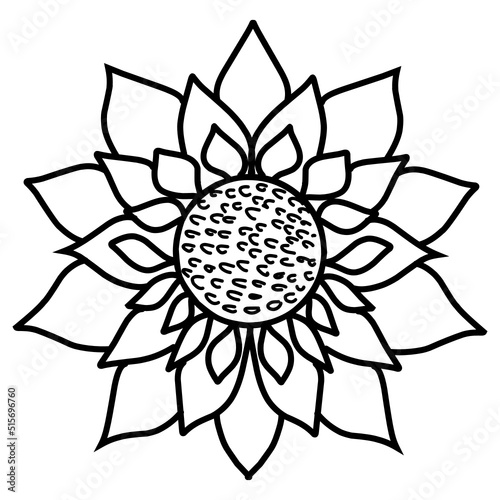 hand-drawn sunflower 