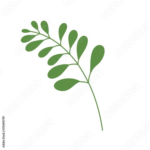 hand-drawn green branch line art illustration on white background, foliage, leaves