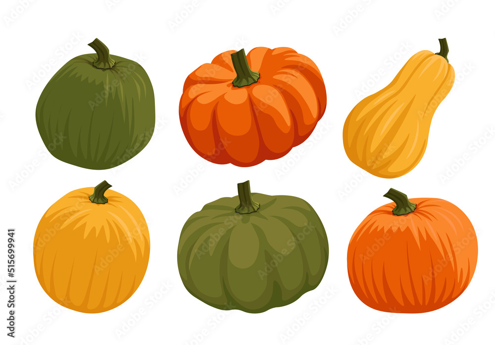 Set of different pumkins and squash cartoon vector set illustration. Orange, yellow, green. Butternut. Thanksgiving, helloween, harvest